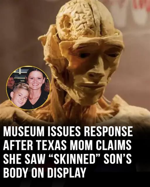 Museum issues response after mom claims she saw sons skinned body displayed – See Now!