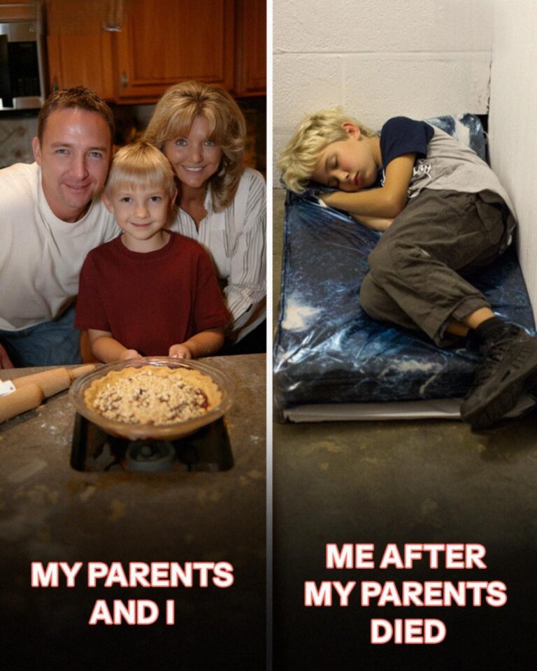 After My Parents Died, My Aunt Took My Inheritance and Gave Me a Mattress on the Floor – Years Later, She Knocked on My Door!