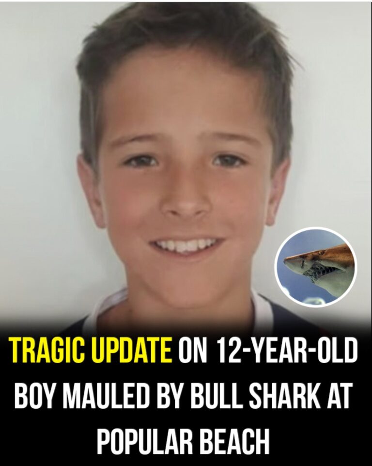Tragic update on 12-year-old boy mauled by shark at popular beach!