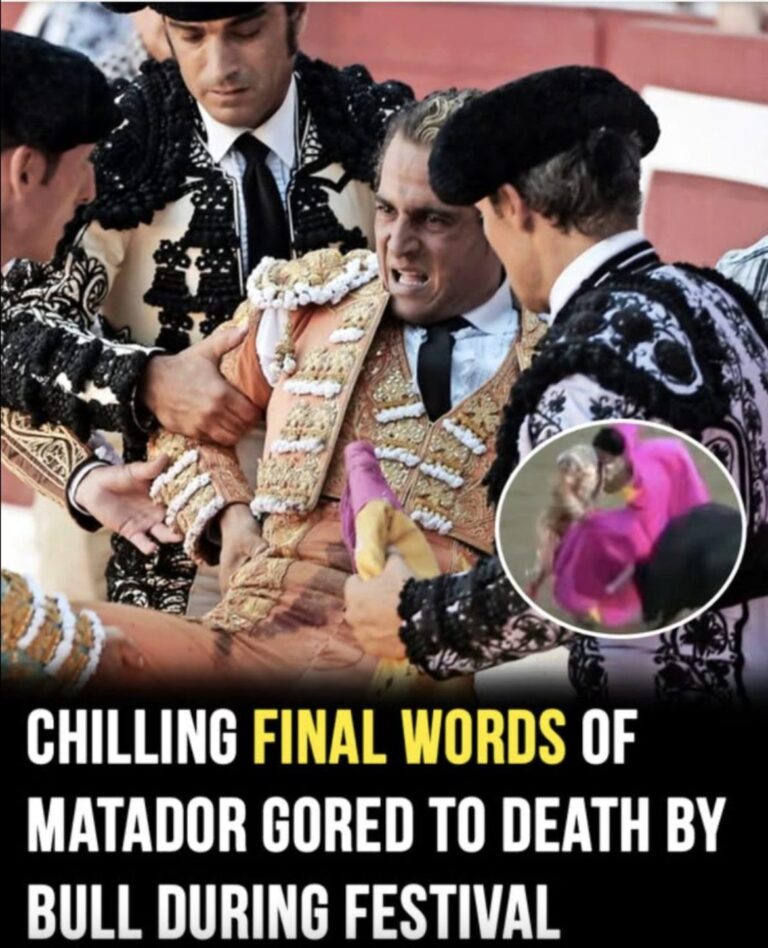Bullfighter’s chilling final words before death