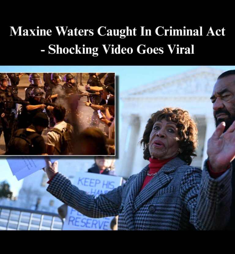 Maxine Waters Joins ICE Protest As LAPD Arrests Violent Agitators