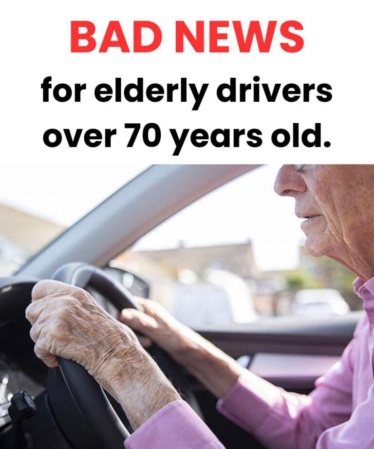 Driving licence renewal: what is the age limit and what changes after 50, 70 and 80 years old?