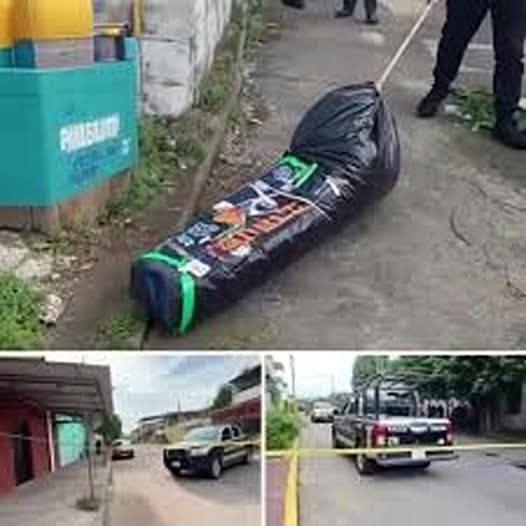 Police Uncover Grisly Murder Scene—Two Children Among Six Victims in Chicago Home