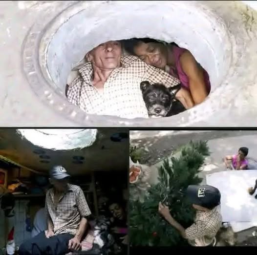 Breaking News: Family found in a… See more